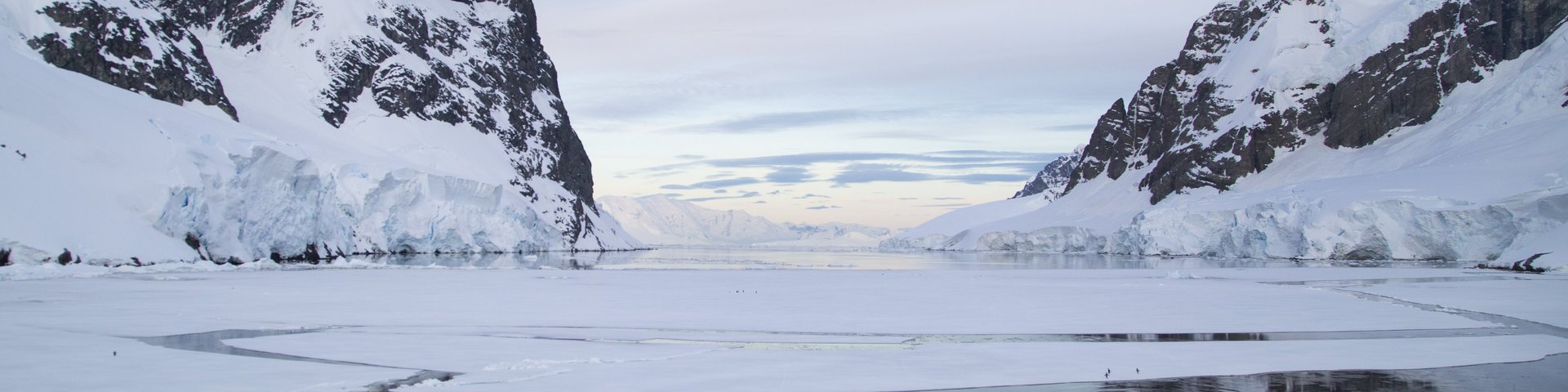 Winterlicher Fjord mit dünnem Packeis Fjord mit Packeis in der Antarktis