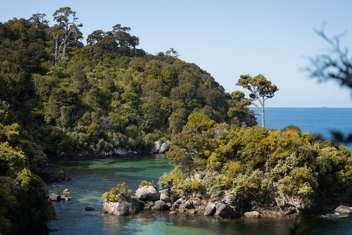 Stewart Island in Neuseeland