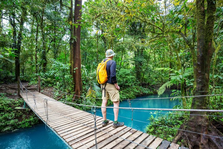 Wanderung im Urwald Wanderung im Urwald