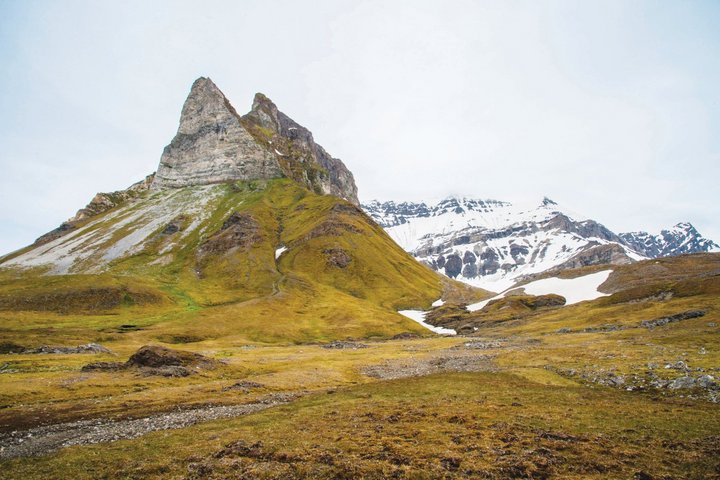 Sommerliche Tundra auf Spitzbergen bei Alkhornet