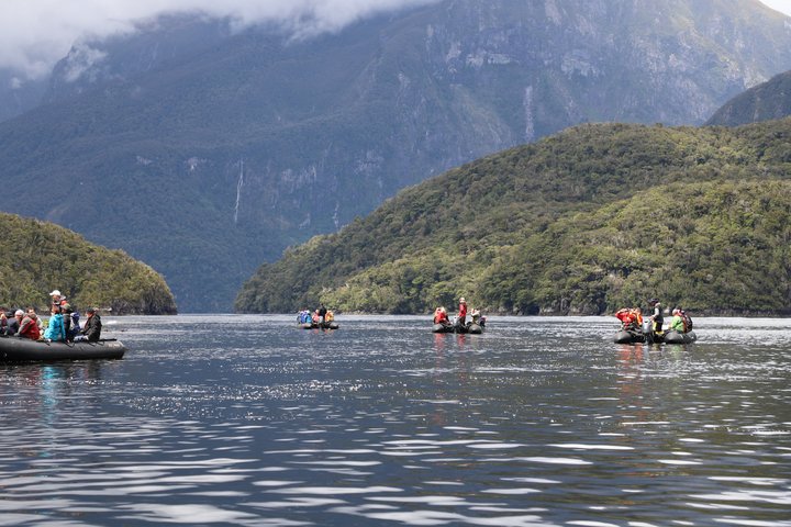 Zodiacfahrt in einer Bucht in Fjordland in Neuseeland