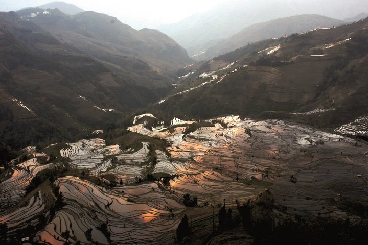 Reisfelder bei Yuanyang