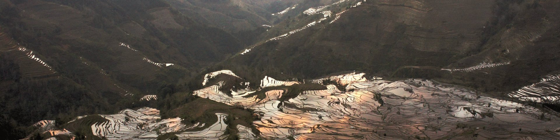 Reisfelder bei Yuanyang