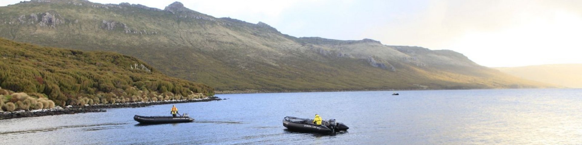 Campbell Island