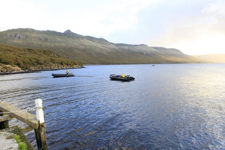 Campbell Island