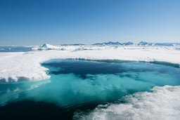 Scoresbysund in Grönland