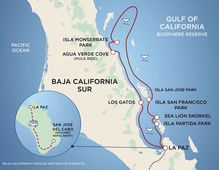 Routenkarte Kreuzfahrt Baja California mit Safari Voyager