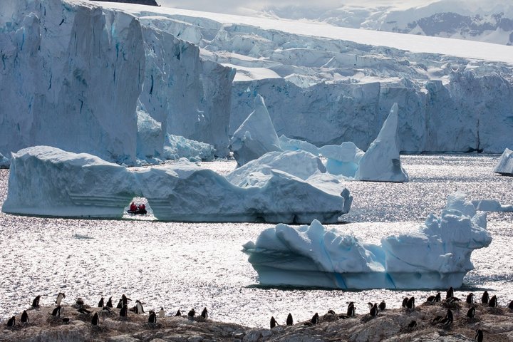 Eisberge auf der Antarktischen Halbinsel