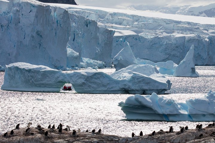 Eisberge auf der Antarktischen Halbinsel