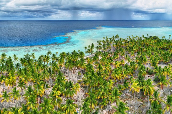 Palmenstrand auf Amanu