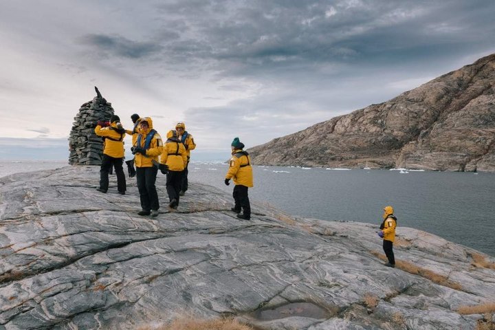 Wadnern auf einem Felsen in Grönland