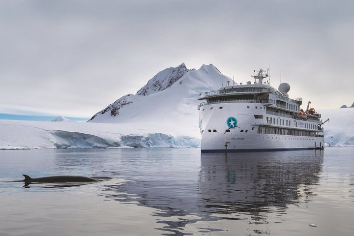 Expeditionsschiff Greg Mortimer