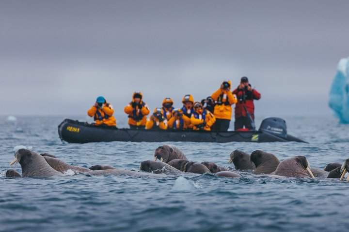 Zodiacfahrt in der Arktis | Foto: David Merron