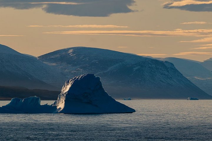 Eisberge in einer Bucht