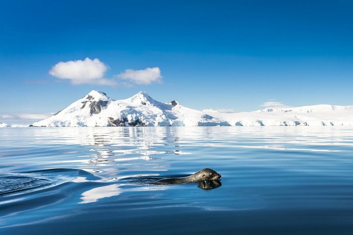 Verschneite Berge mit Bucht und schwimmender in Antarktika Verschneite Berge mit Bucht und schwimmender in Antarktika