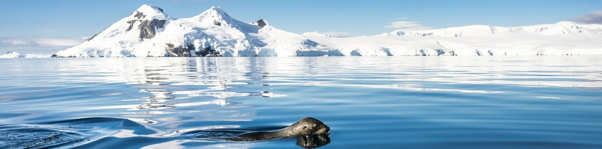 Eisberge in der Antarktis