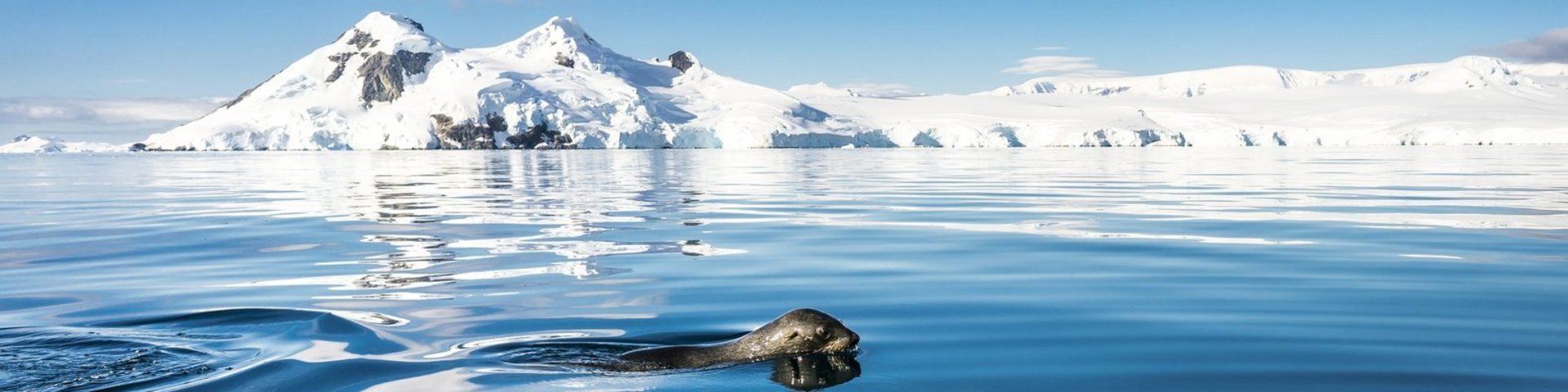 Eisberge in der Antarktis
