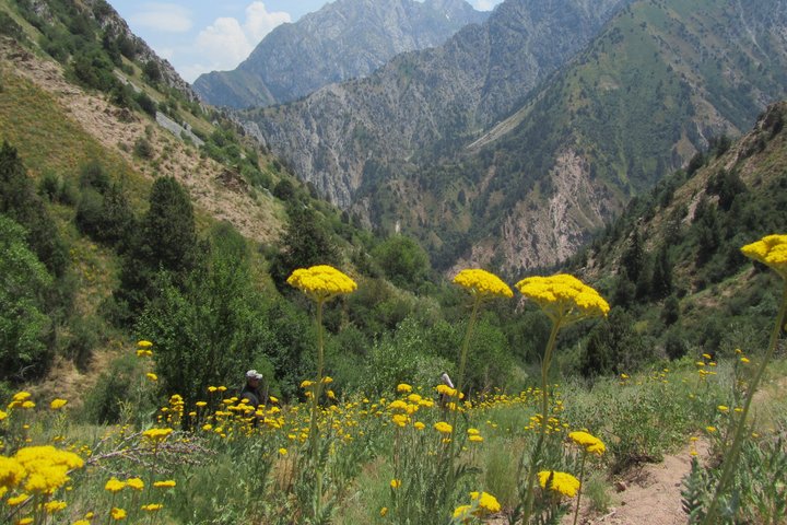 Nurata-Berge