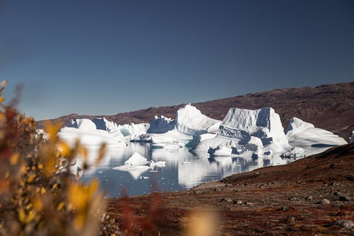 Eisberge in einem Fjord in Grönland