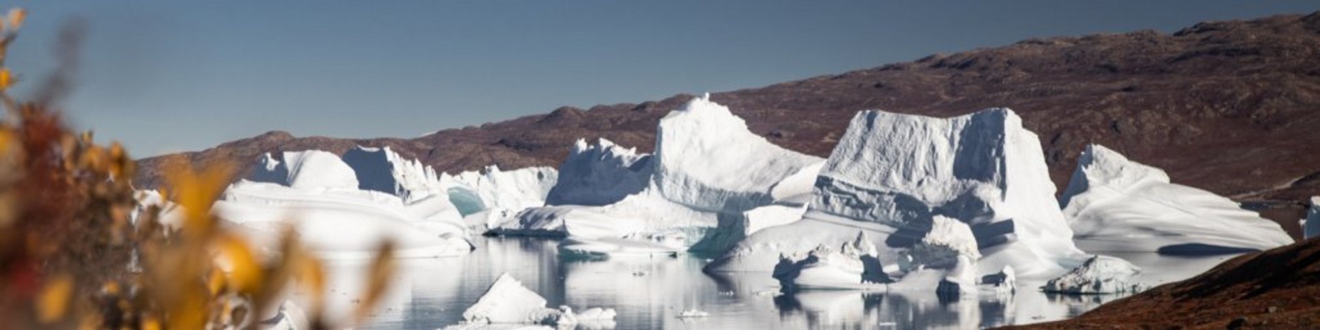 Eisberge in einem Fjord in Grönland