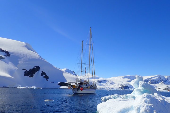 Ocean Tramp mit Eisberg in einer Bucht in Antarktika
