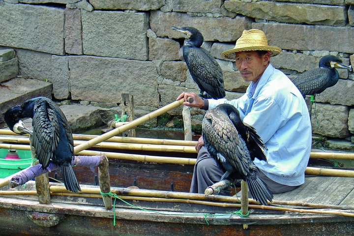 Chinesischer Fischer Chinesischer Fischer