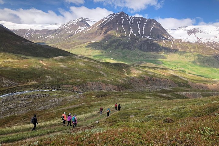 Wandern auf Island