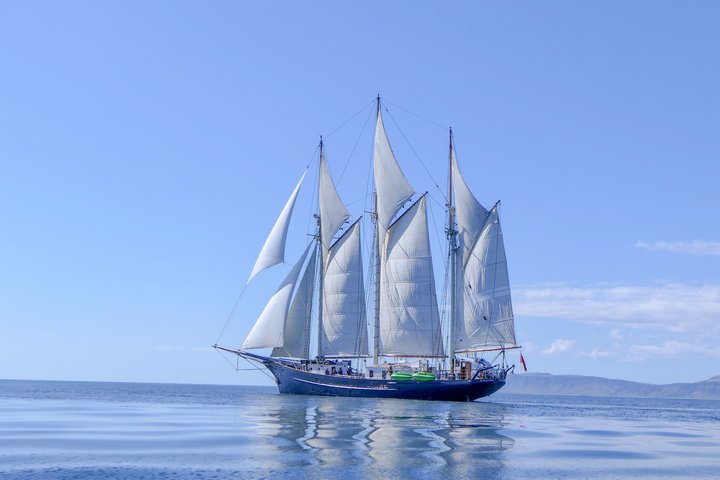 Segelschiff Blue Clipper