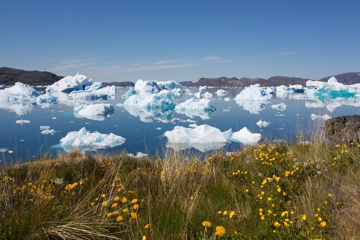 Eisschollen in einer Bucht bei Narsaq im Süden von Grönland