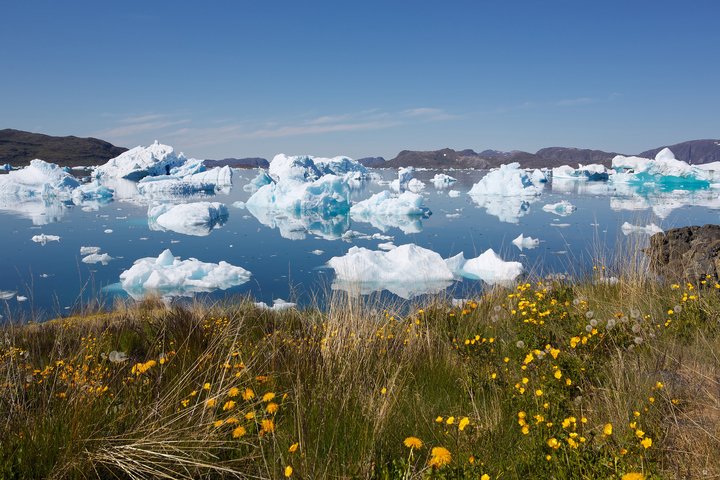 Tundra mit Eisbergen bei Narsaq in Grönland