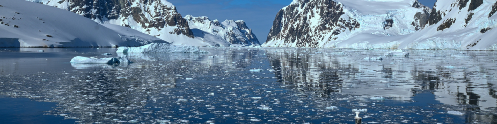 Ocean Nova in einer Bucht mit Eisschollen und Bergen