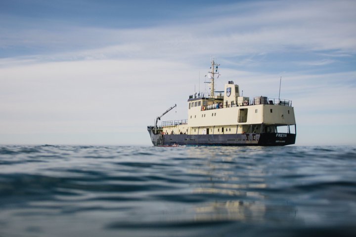 Expeditionsschiff Freya Expeditionsschiff Freya