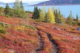 Herbstliche Landschaft Herbstliche Landschaft