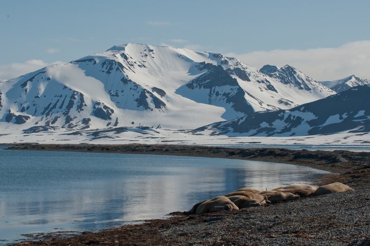 Bucht mit schneebedeckten Bergen auf Spitzbergen Bucht mit schneebedeckten Bergen auf Spitzbergen
