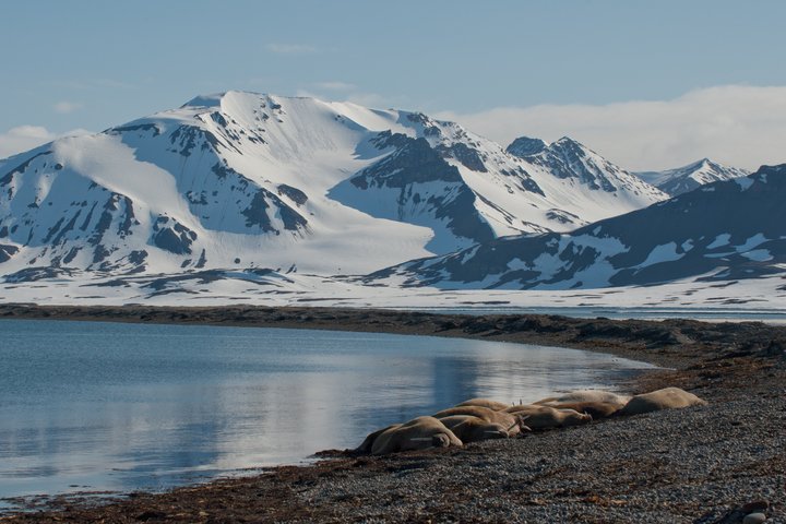 Bucht mit schneebedeckten Bergen auf Spitzbergen