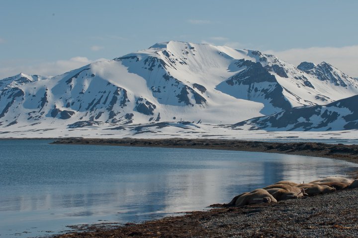 Bucht mit schneebedeckten Bergen auf Spitzbergen
