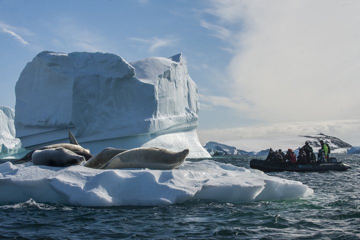 Zodiac-Fahrt in der Antarktis mit Tierbeobachtung