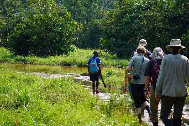 Wanderung durch den Regenwald Wanderung durch den Regenwald