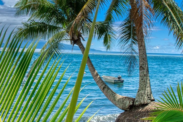 Palmen und Meer in der Südsee