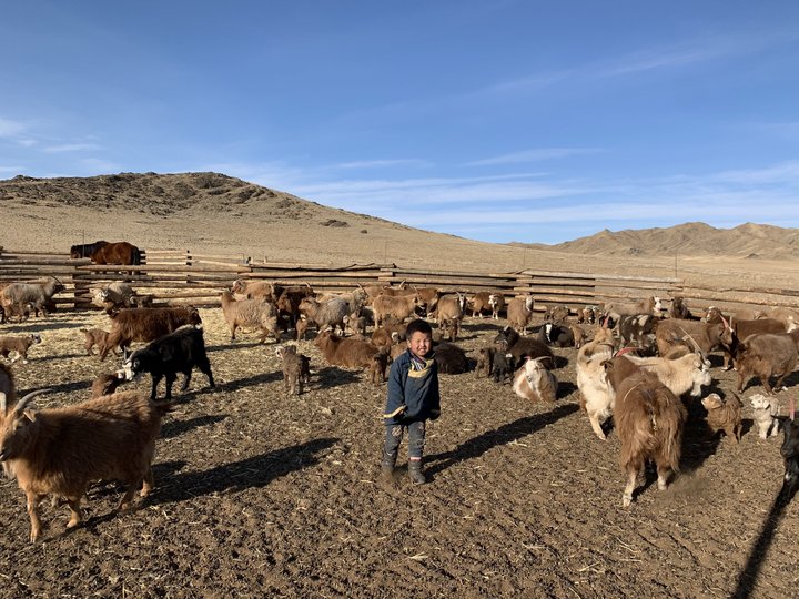 Hirten in der Mongolei