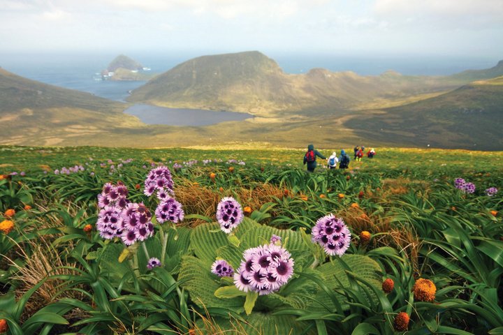 Vergessene Inseln – Campbell Island