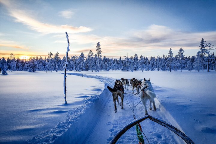 Winterzauber in Lappland