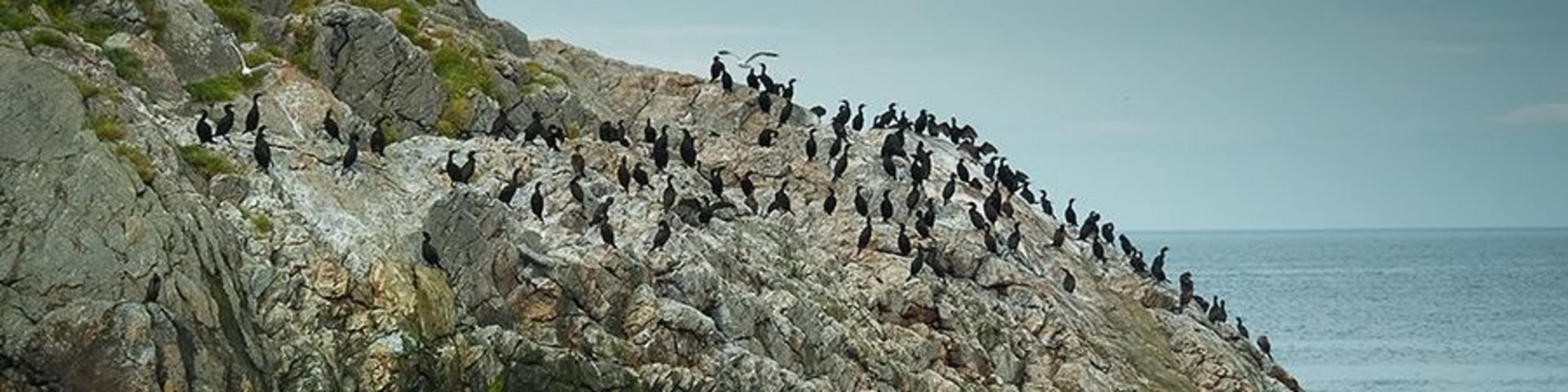 Gjesvaerstappan, Norwegen Gjesvaerstappan, Norwegen