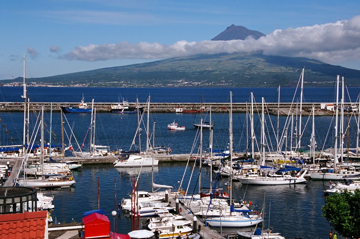 Hafen mit vielen kleinen Booten in Horta auf Faial