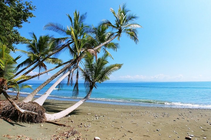 Strand mit Palmen Strand mit Palmen