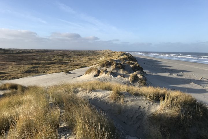Dünenlandschaft in Holland
