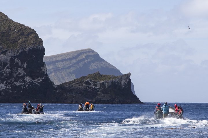 Zodiacs an der Küste der Insel Antipodes