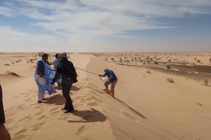 Sanddüne in Mauretanien mit Personen