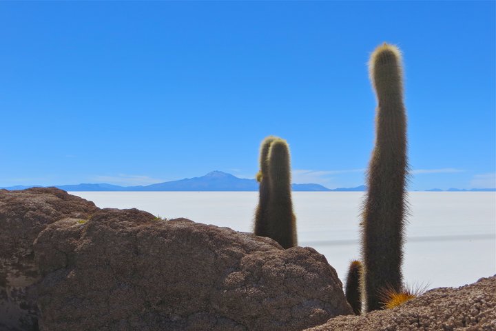 Eine Reise von Machu Picchu in die Salzwüste