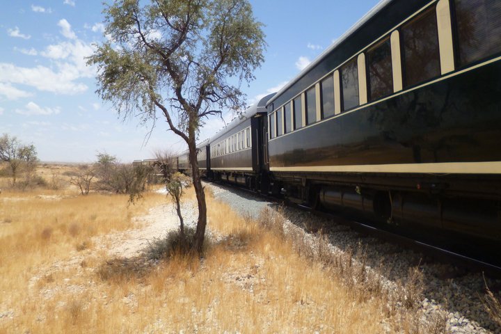 African Explorer
